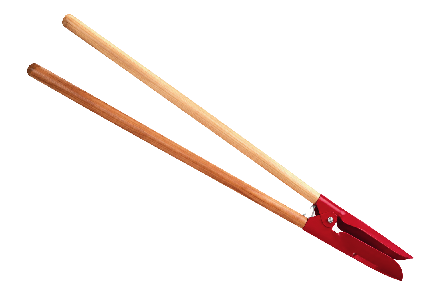 PALIN DUPLEX FYY PAA01T